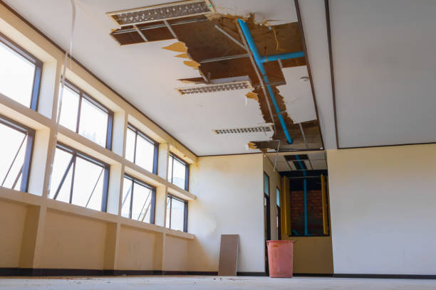 Best Water damage cleanup near me  in Louisa, VA