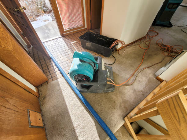 Louisa, VA Water damage restoration Pros